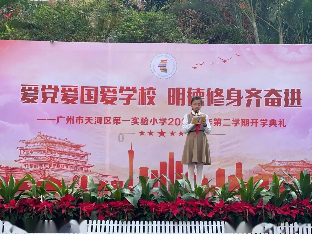 救援可爱小猪仔